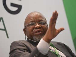 Article referring to Mantashe’s arrest refuted  | News Article
