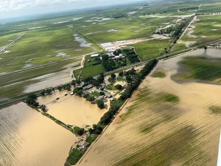 Wheat is rotting in the lands due to continuous rainfall | News Article