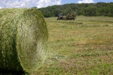 Landbounuus-podcast: Droogtehulp-organisasie help boere wat deur Noord-Kaap-veldbrande geraak is  | News Article