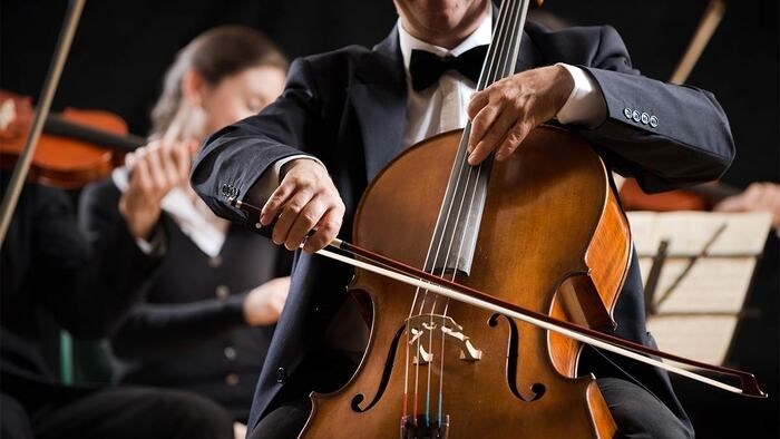 Platform provided for string instrumentalists across South Africa | News Article