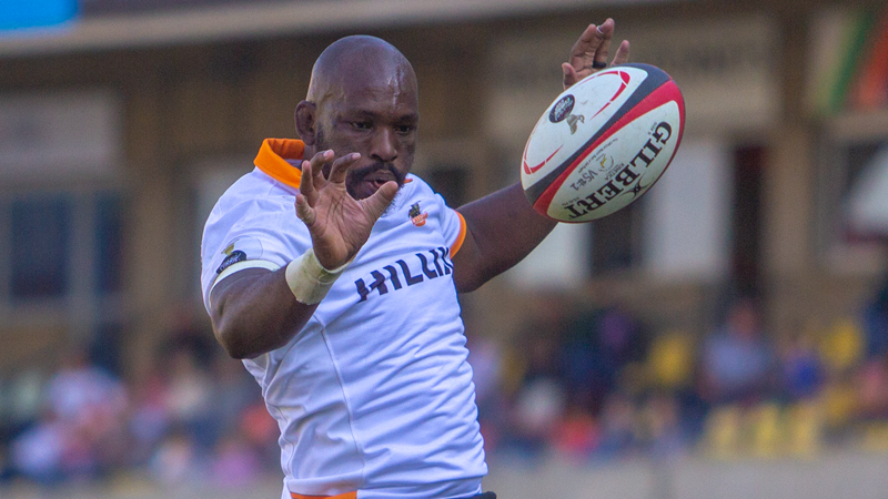 Cheetahs to bounce back against Griffons | News Article