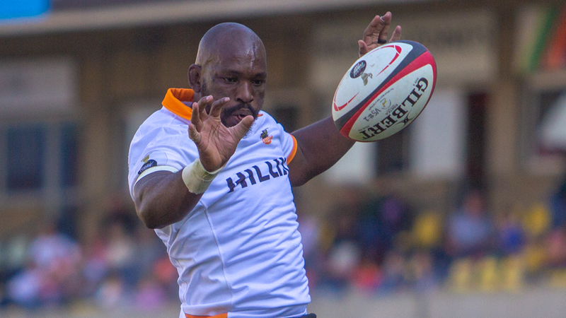 Cheetahs to bounce back against Griffons Cheetahs to bounce back against Griffons | News Article