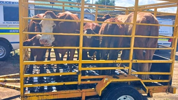 Meer privaat ondersoekers vir veediefstal opgelei Meer privaat ondersoekers vir veediefstal opgelei | News Article