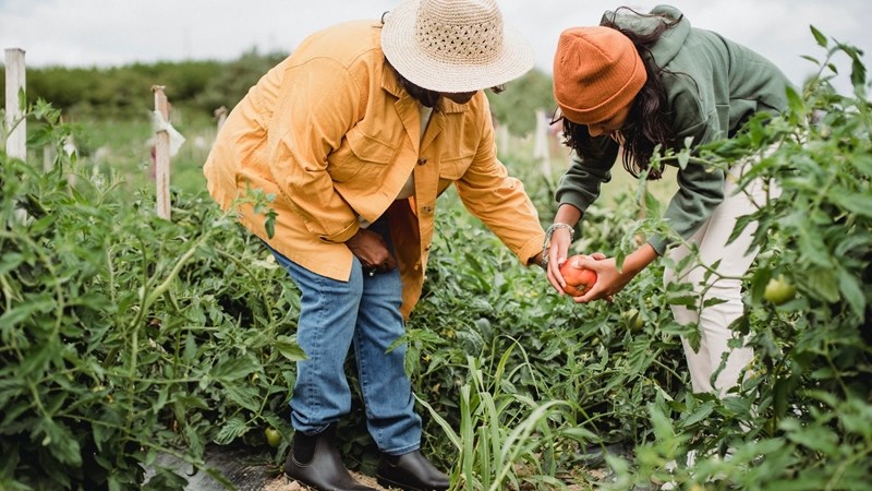 Landbounuus: Duisende werkverliese in Vrystaatse landbousektor, regering geblameer Landbounuus: Duisende werkverliese in Vrystaatse landbousektor, regering geblameer | News Article