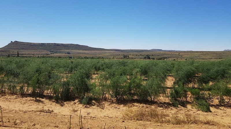 Hier is van jou hoof landboustories op OFM Hier is van jou hoof landboustories op OFM | News Article