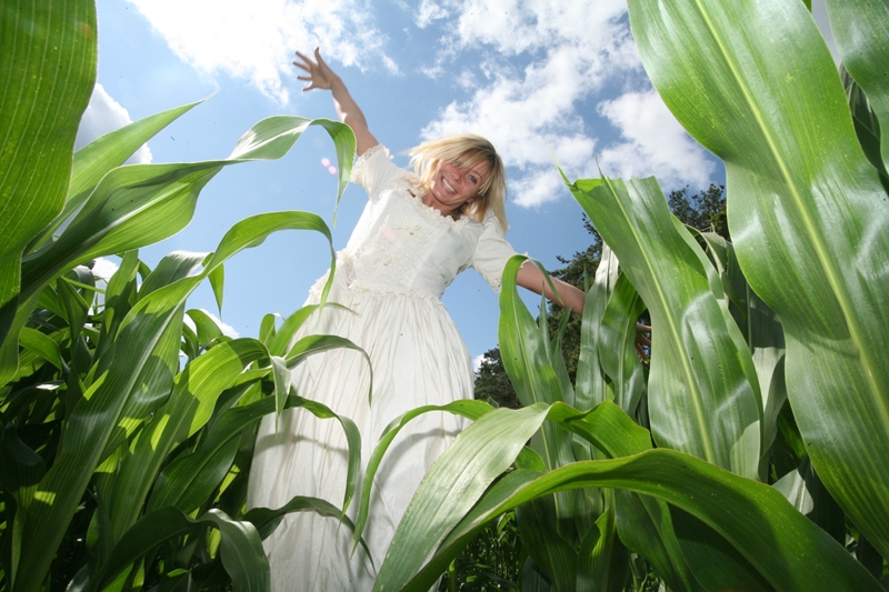 Agri-uur: Jongste Safex-nuus | News Article