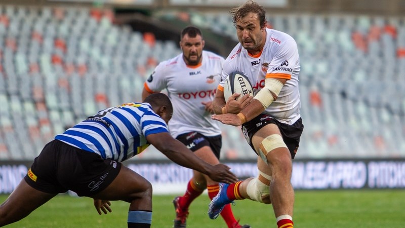 Cheetahs draw Scarlets and Section Paloise in Challenge Cup Cheetahs draw Scarlets and Section Paloise in Challenge Cup | News Article