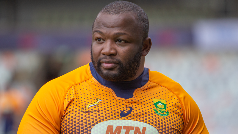 Nché returns as Springboks eye Rugby Championship glory | News Article