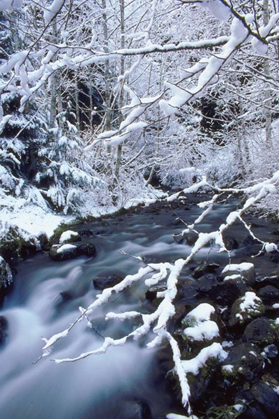 Snowfall in FS blowing up on social media | News Article