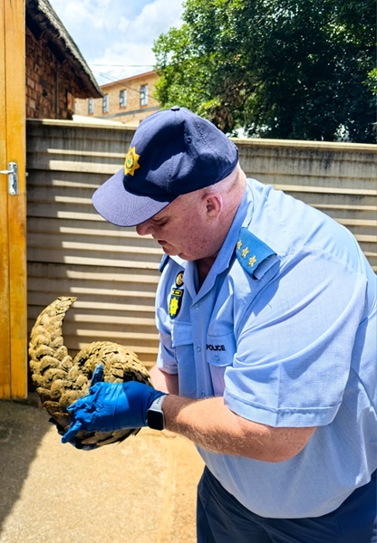 Twee hof toe oor ietermagog ná arres op N8   | News Article