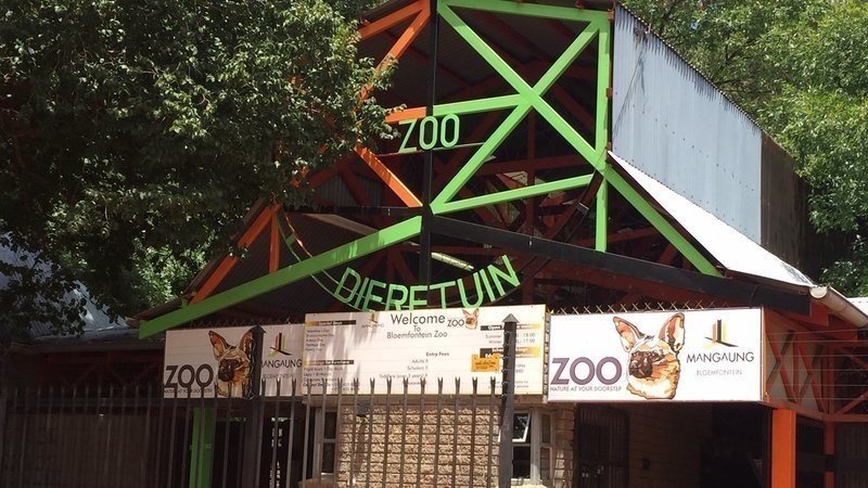 Bloemfonteiners maak dieretuin skoon voor heropening Bloemfonteiners maak dieretuin skoon voor heropening | News Article