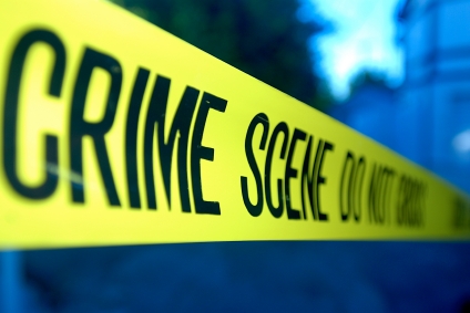 #BreakingNews: Dog makes gruesome discovery in Kimberley - Vimarsana News