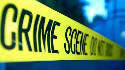 #BreakingNews: Dog makes gruesome discovery in Kimberley | News Article