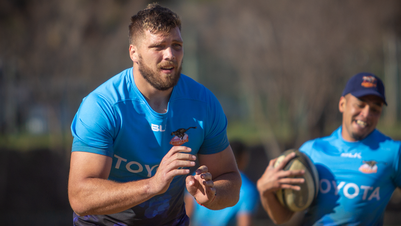 Olivier set for long-awaited Currie Cup debut | News Article