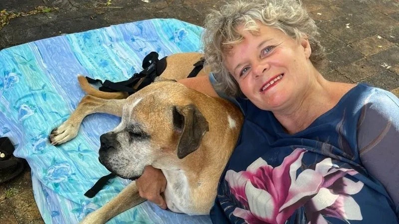 Greta Wilson gaan ure swem vir honde se welstand | News Article