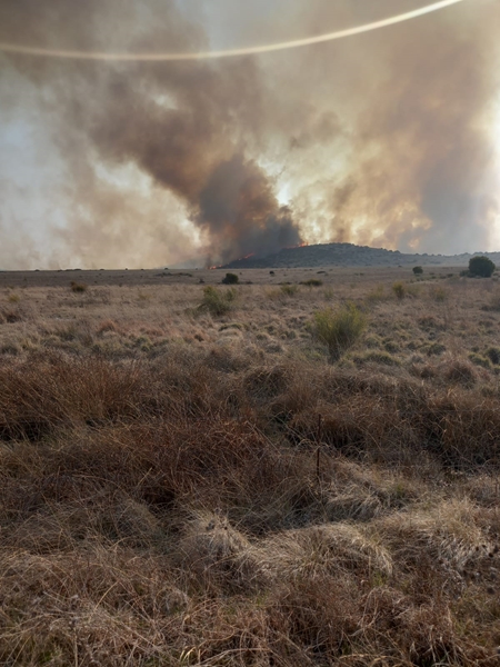 Noordwes-boere benodig voerskenkings | News Article