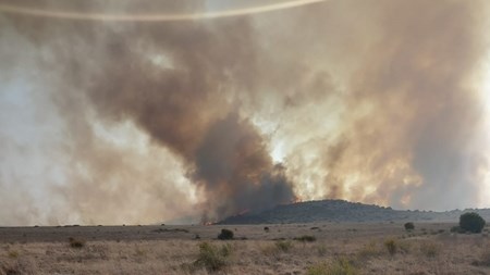 Noordwes-boere benodig voerskenkings | News Article