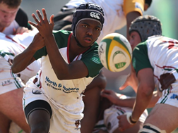Cape sides continue to impress at Craven Week | News Article