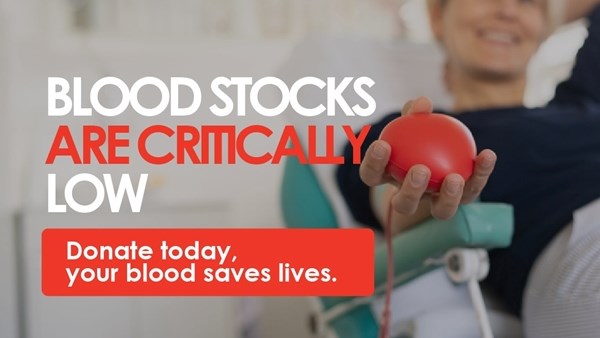 South Africans urged to donate blood over festive season South Africans urged to donate blood over festive season | News Article