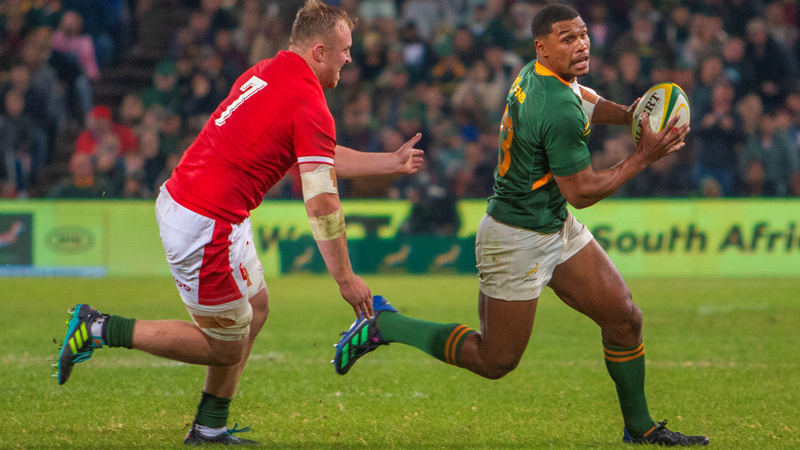 Fired-up Italy to challenge Boks; De Jager suspended | News Article