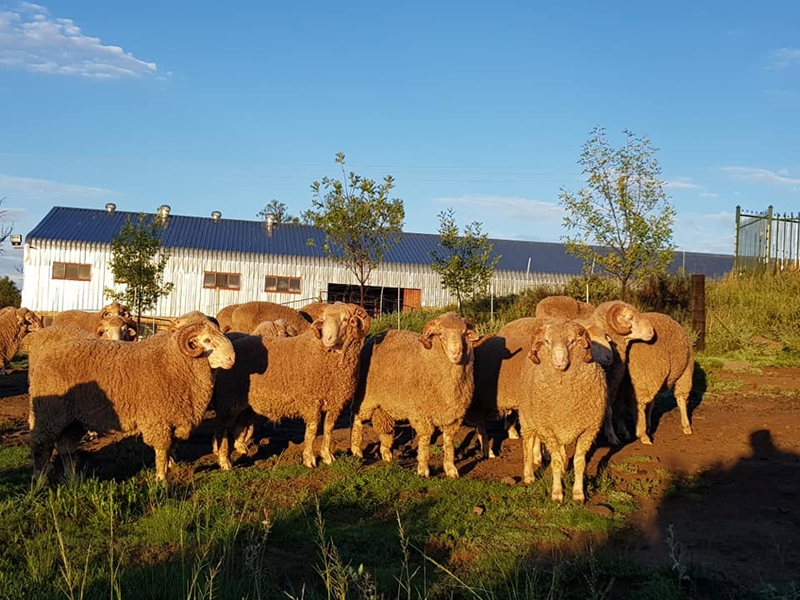 Hier is van jou hoof landboustories op OFM | News Article