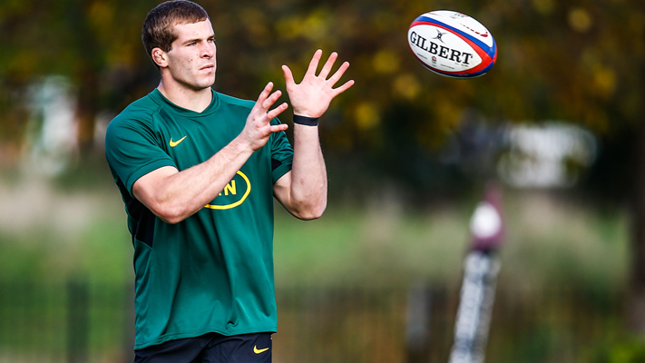 Hanekom geared for eagerly anticipated Springbok debut | News Article