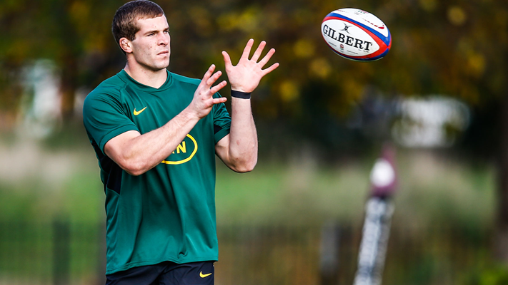 Hanekom geared for eagerly anticipated Springbok debut Hanekom geared for eagerly anticipated Springbok debut | News Article