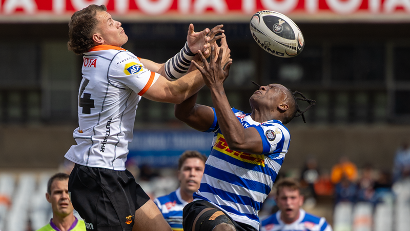 Cheetahs’ discipline nearly their Achilles heel again | News Article