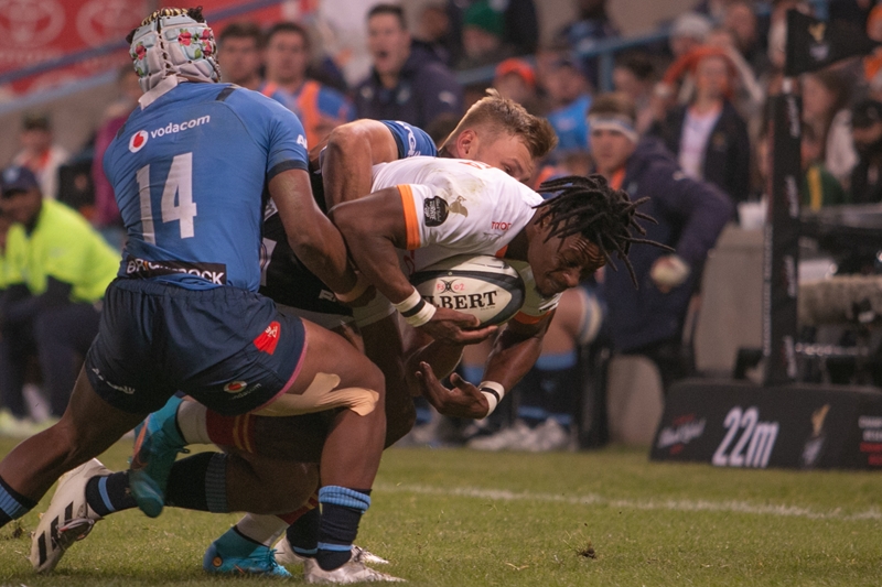 No new injury concerns for the Cheetahs | News Article