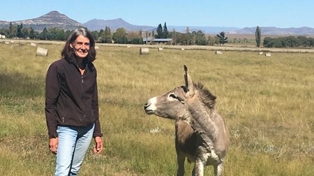 Astrid bied diere op Oos-Vrystaatse plaas ’n paradys Astrid bied diere op Oos-Vrystaatse plaas ’n paradys | News Article