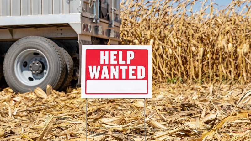 Agricultural employment declines slightly, recovery expected in 2025 | News Article