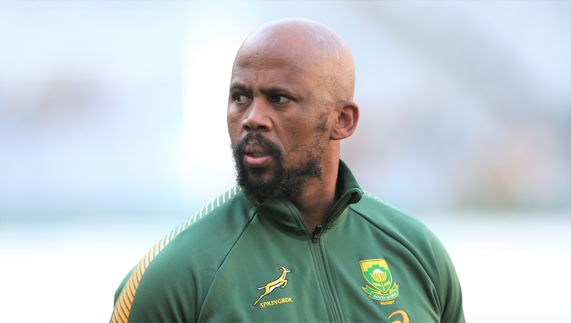 Boks in a better position than prior to RWC 2019 | News Article