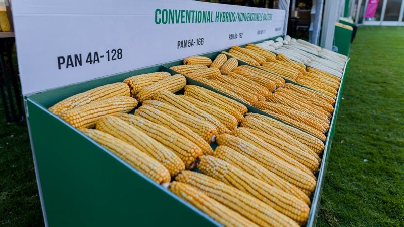Agri-uur: Jongste Safex-nuus Agri-uur: Jongste Safex-nuus | News Article