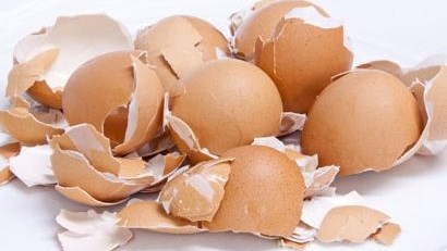 10 maniere om eierdoppe te gebruik 10 maniere om eierdoppe te gebruik | News Article
