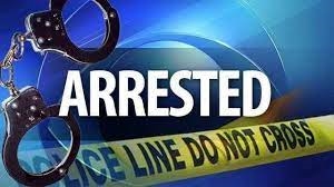 Twelve arrested in N8 informal settlement protests | News Article