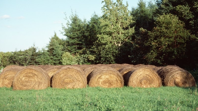 Produsente moet loonopgawes voor einde Mei aanlyn verklaar Produsente moet loonopgawes voor einde Mei aanlyn verklaar | News Article