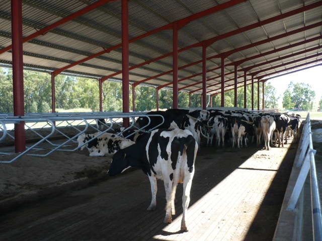 Hier is vandeesweek se lewendehawe pryse | News Article