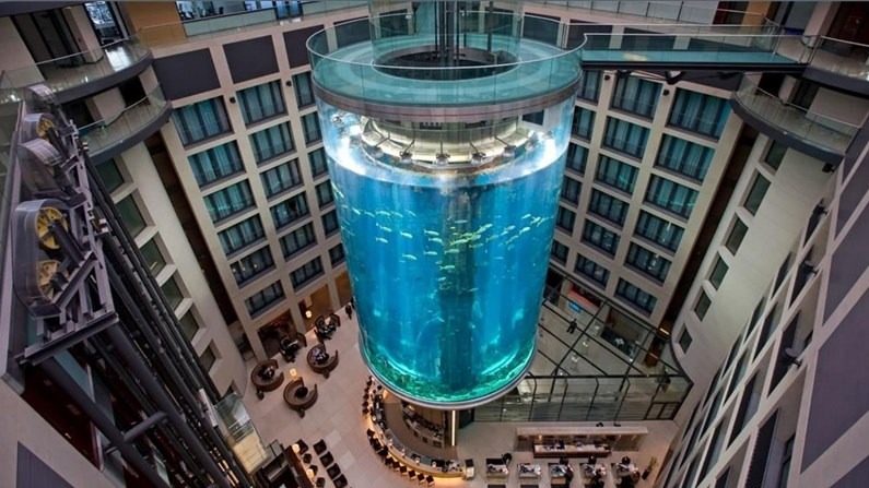 Huge Berlin aquarium bursts, spilling 1500 fish Huge Berlin aquarium bursts, spilling 1500 fish | News Article