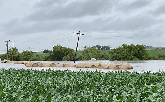 'Too much rain can harm the environment' - Moshoaliba | News Article