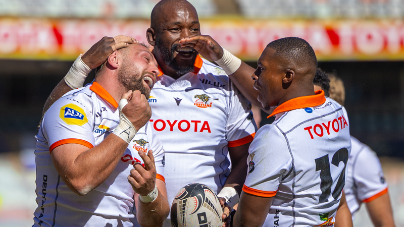 Belief growing in the Cheetahs as semis loom Belief growing in the Cheetahs as semis loom | News Article