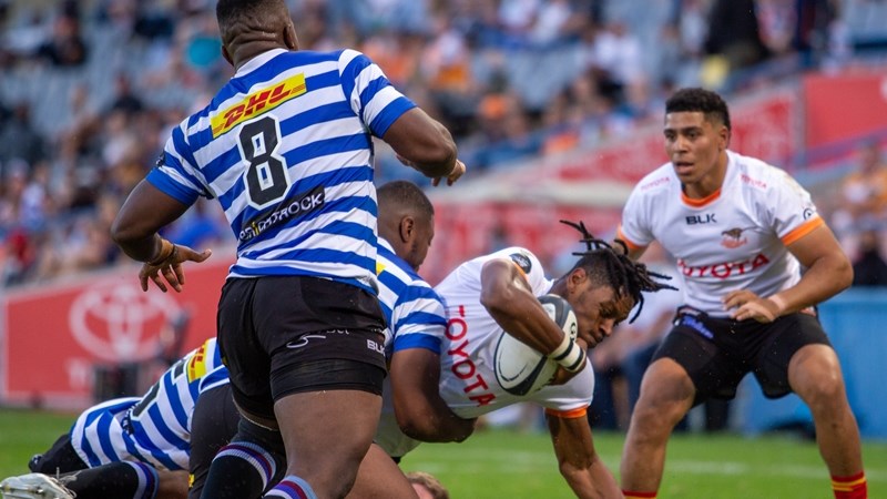 Cheetahs set for welcome return to Europe | News Article