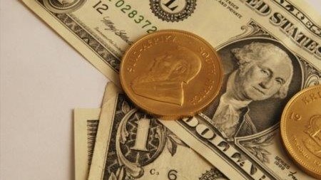 Man arrested in Harrismith over fake dollar bills | News Article
