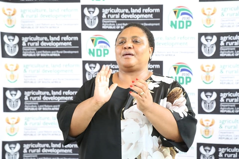 Resilience of South Africa’s agricultural sector explored  | News Article