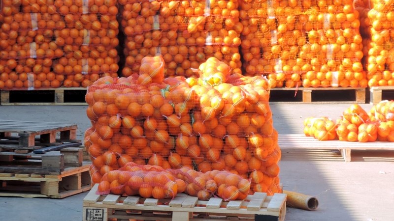 Access to Vietnamese market celebrated despite challenges Access to Vietnamese market celebrated despite challenges | News Article