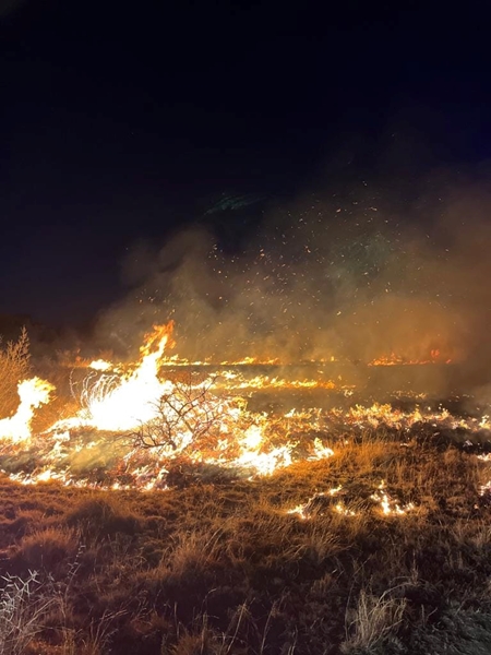 Landbounuus: Kommer heers oor brandbestryding in Noord-Kaap  | News Article