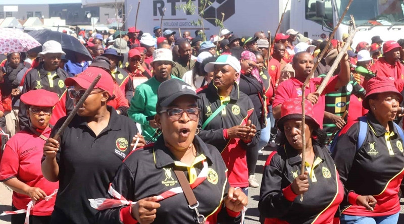 Cosatu neem stryd op teen Vrystaatse munisipaliteite oor fondsbydraes | News Article