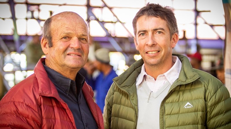 Trompsburg-boerdery lewer Bloemskou se Merinoram van die Jaar Trompsburg-boerdery lewer Bloemskou se Merinoram van die Jaar | News Article