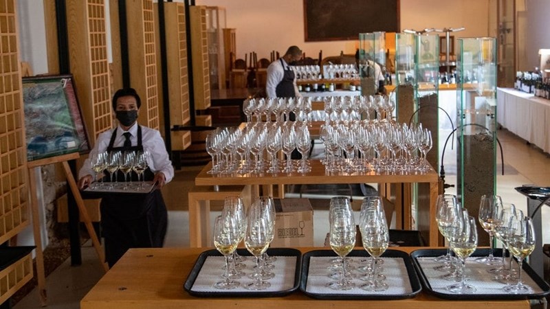 Produsente, kelders uitgenooi om vir Sauvignon Blanc-kompetisie in te skryf | News Article