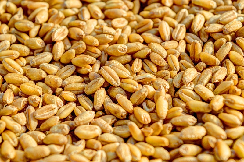 Agri-uur: Jongste Safex-nuus | News Article