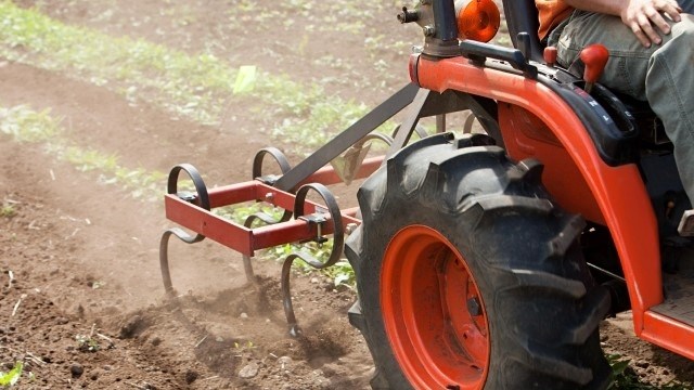 Optimisme oor 2024/25-somerproduksieseisoen Optimisme oor 2024/25-somerproduksieseisoen | News Article